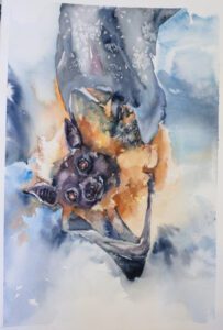 Hedelmälepakot (Lentävät ketut)